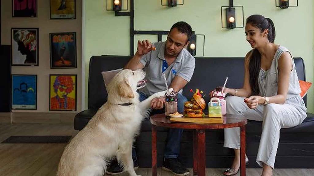 Pet-Friendly Cafes,
unique business ideas